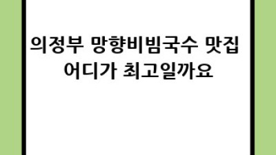 의정부 망향비빔국수 맛집 찾기