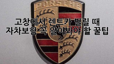 🚗 고창에서 렌트카 빌릴 때 자차보험 꼭! 알아봐야 할 꿀팁 🍯
